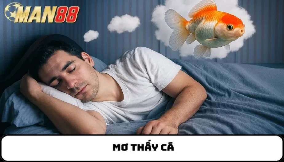 MAN88 Mơ Thấy Cá – Giải Mã Bí Ẩn Về Giấc Mơ Và Ý Nghĩa Cuộc Sống